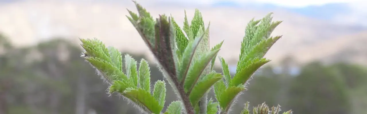 Growing carbon market oﬀers cross-border benefits: Carbon(1)