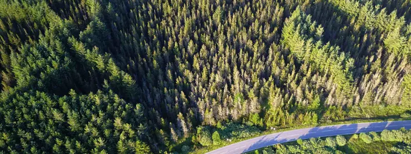 Forestry Property Banner