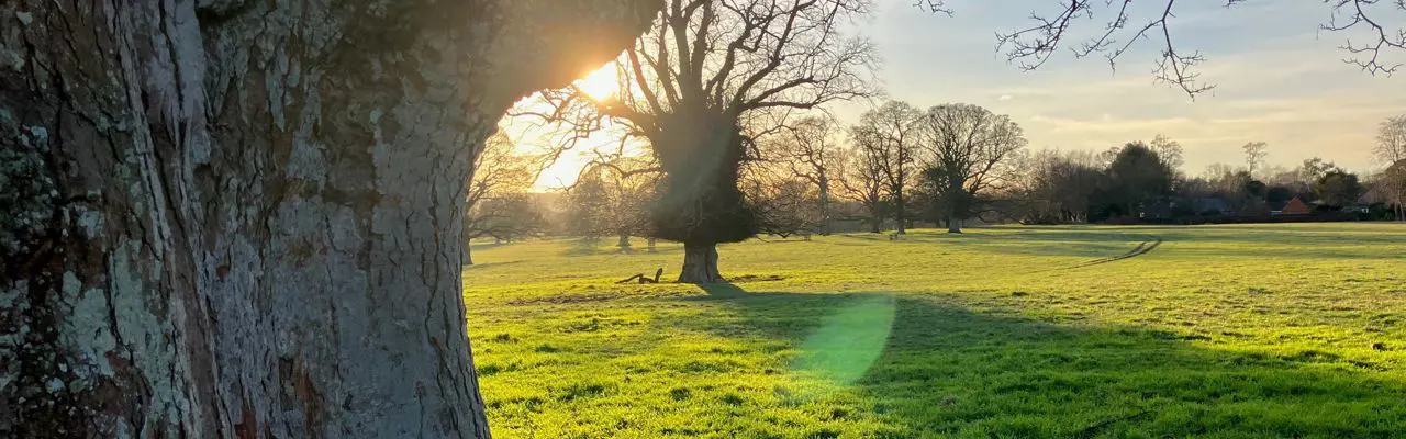 Natural capital update: The land use opportunity in the age of climate disruption: Natural Capital Update | Funding