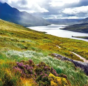 Shutterstock 164627531 4 808X455